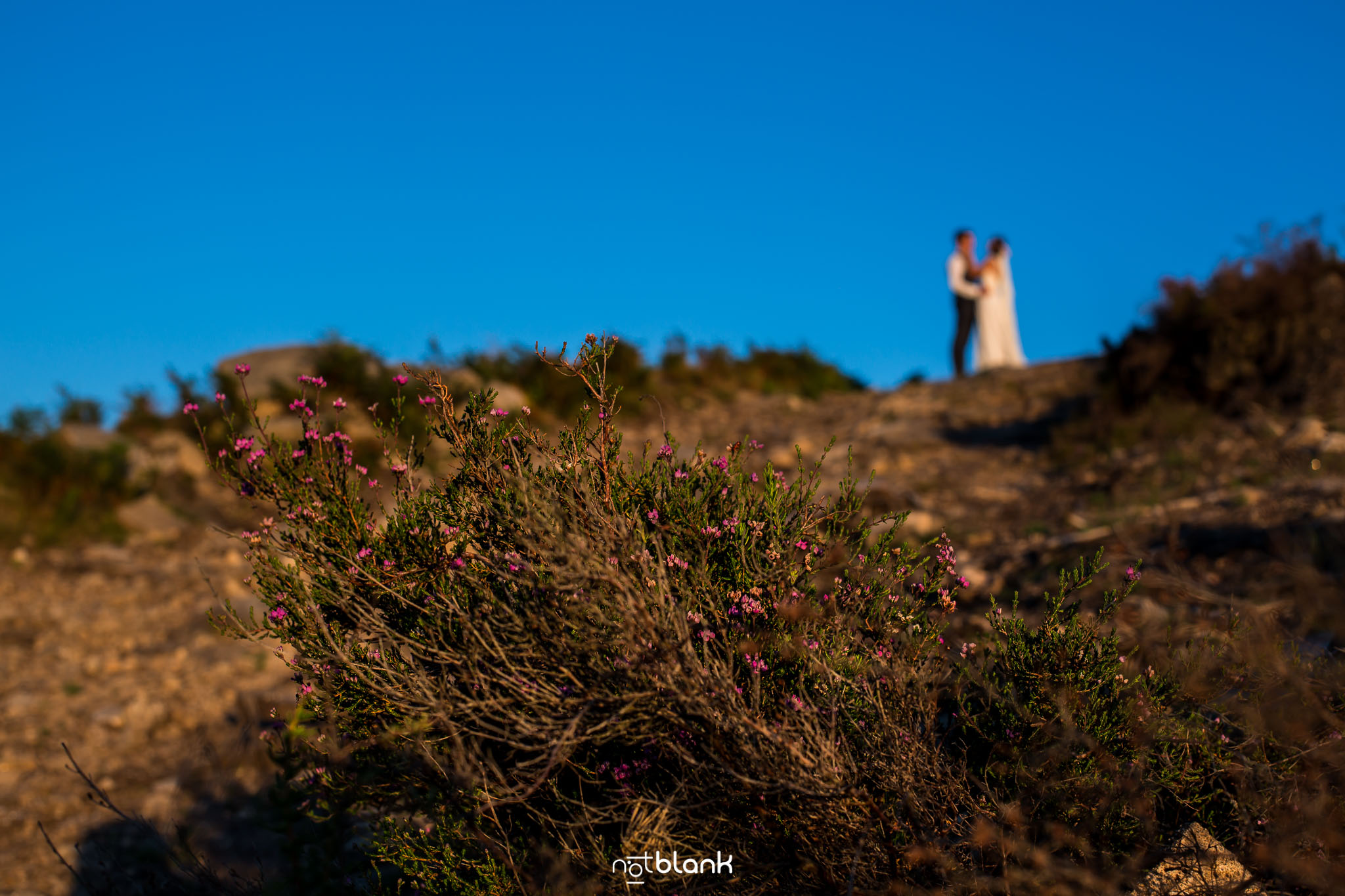 Postboda-Fotografos-de-Boda-Vigo-Tui-Pontevedra-Baixo-Miño-Portugal-Orense-La Guardia